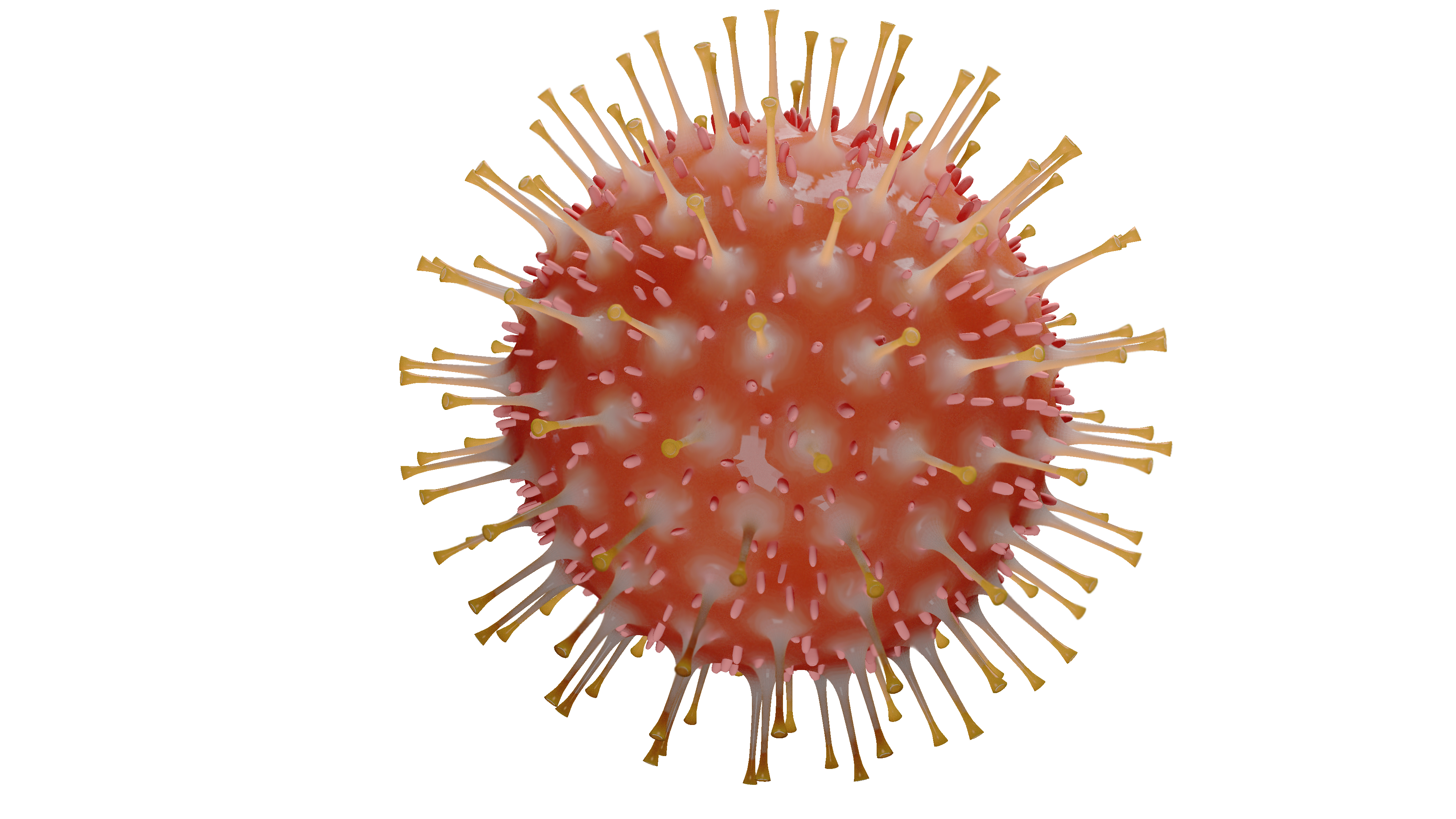 coranavirus