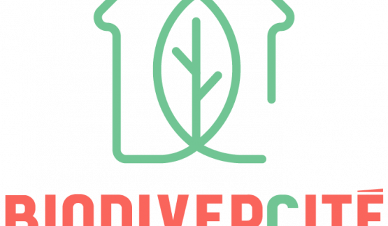 biodivercite